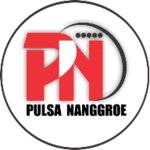 pulsananggroe android application logo